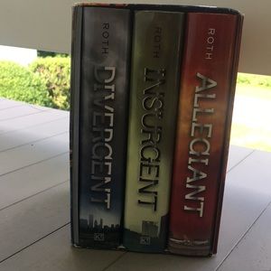 The Divergent Series